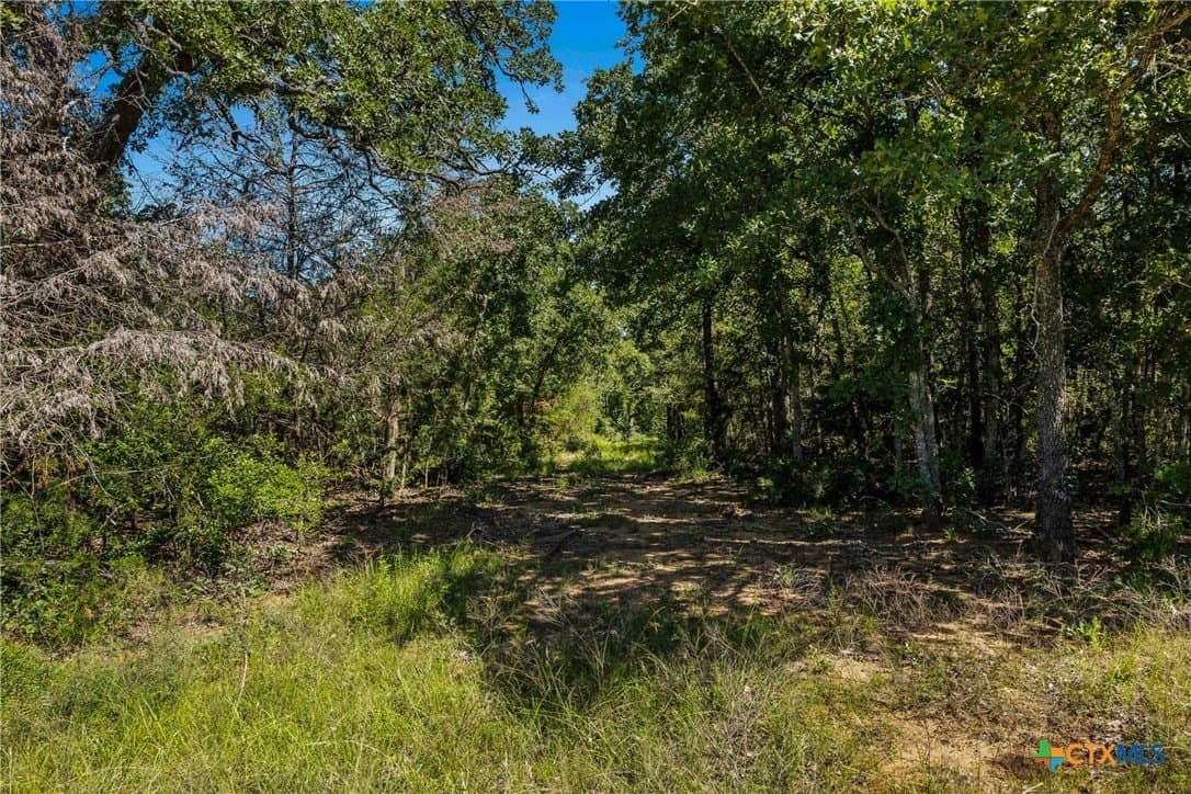 38 acres in Milam County - photo 10