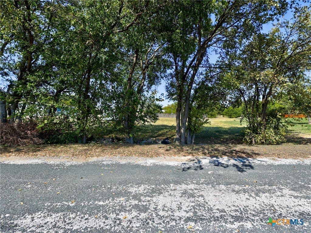 0.48 acres in Williamson County - photo 5