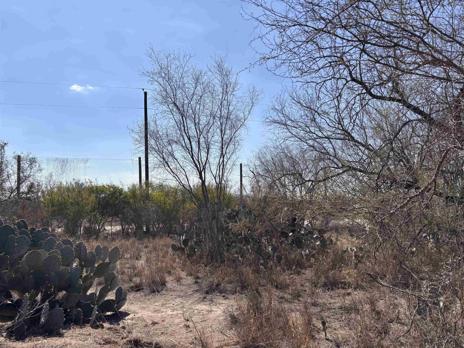 19.67 acres in Jim Wells County - photo 8