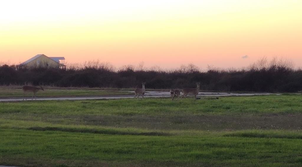 0.2 acres in Texas County - photo 7