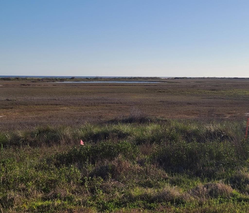 0.2 acres in Texas County - photo 5