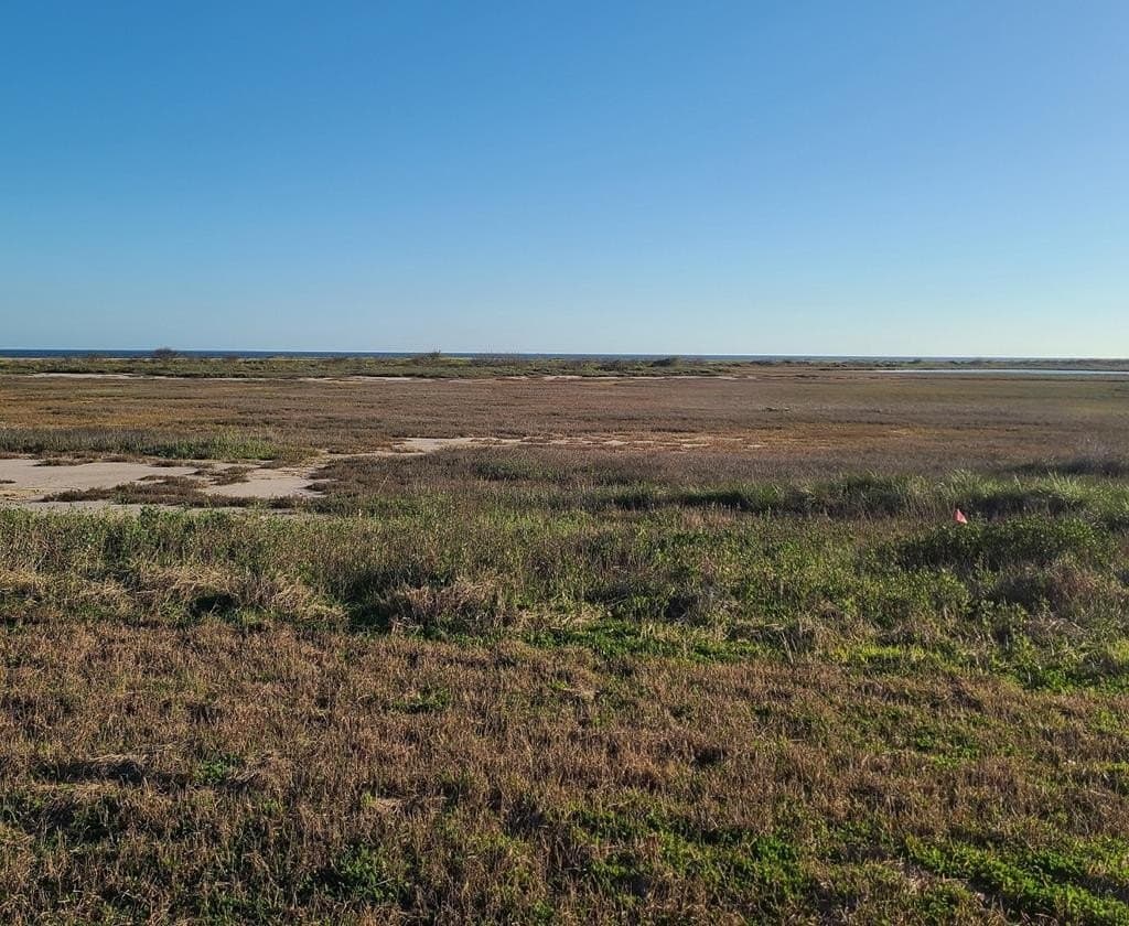 0.2 acres in Texas County - photo 4