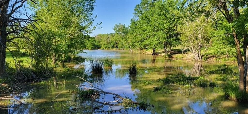 84 acres in Hopkins County - photo 13