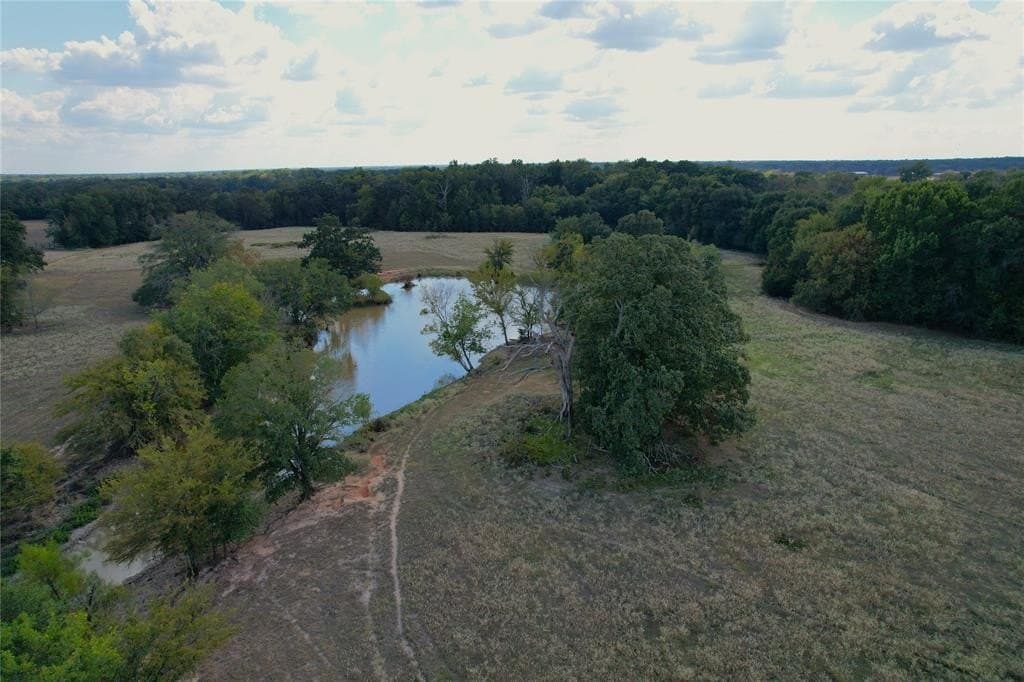 84 acres in Hopkins County - photo 11