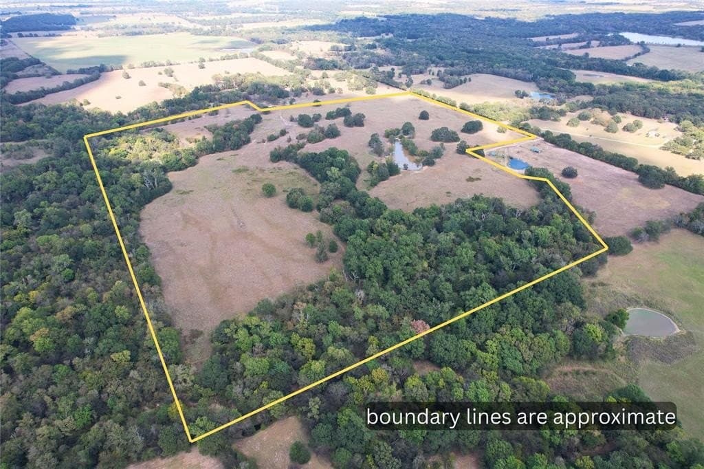 84 acres in Hopkins County - photo 5