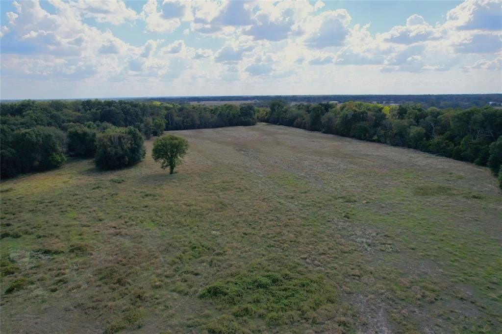 84 acres in Hopkins County - photo 6