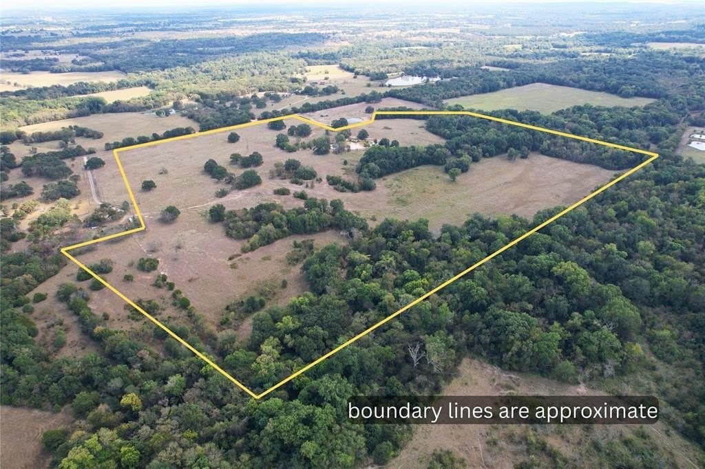 84 acres in Hopkins County - photo 3