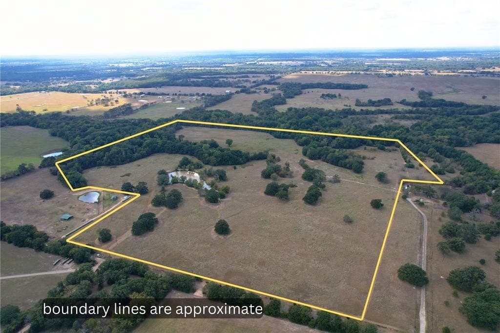 84 acres in Hopkins County - photo 2