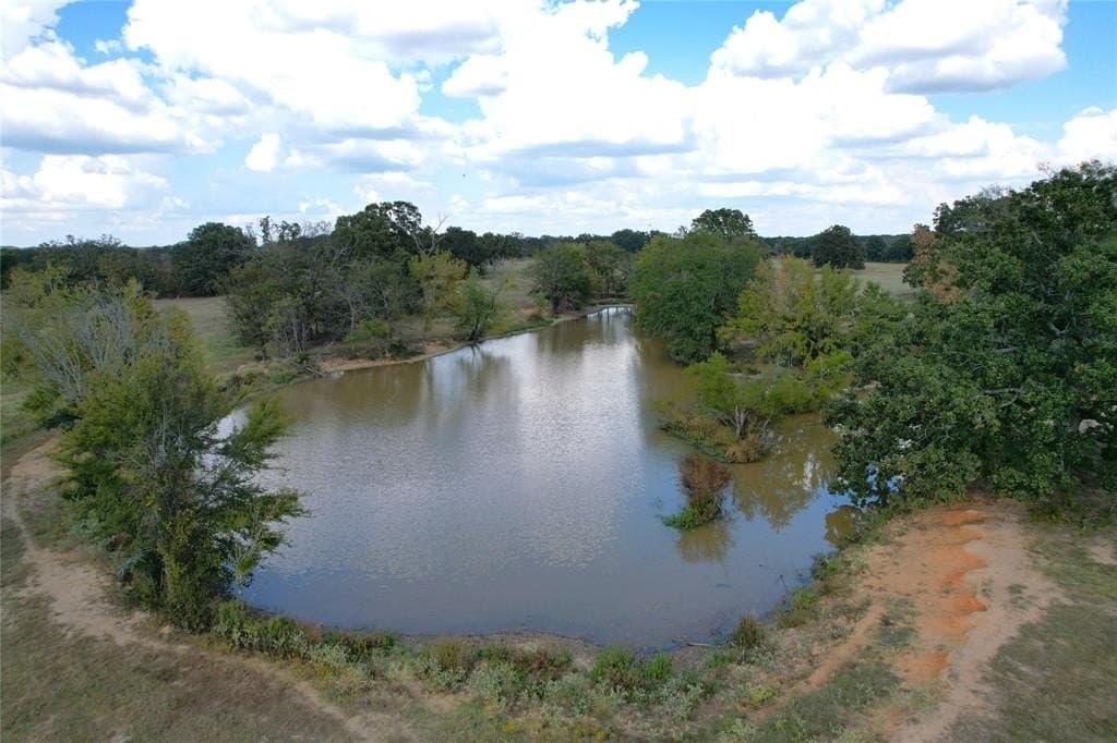 84 acres in Hopkins County - photo 9