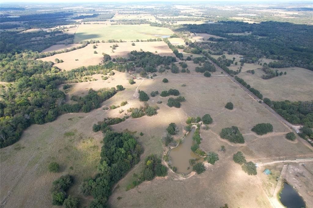 84 acres in Hopkins County - photo 8