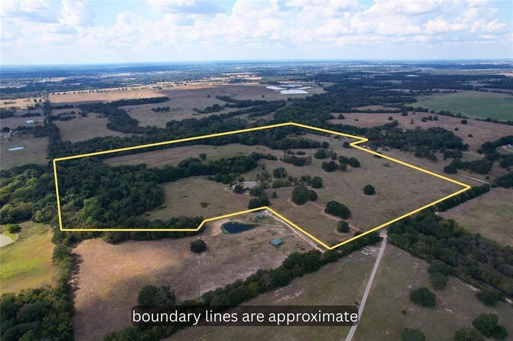 84 acres in Hopkins County - photo 4