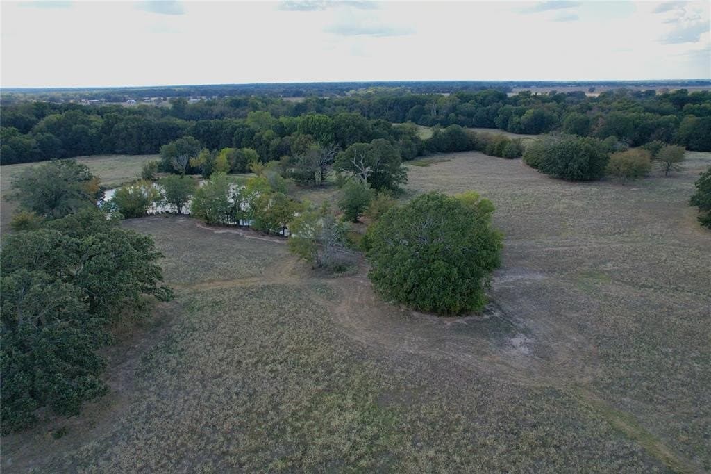 84 acres in Hopkins County - photo 7