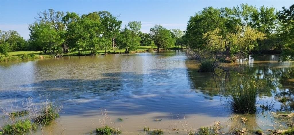 84 acres in Hopkins County - photo 14