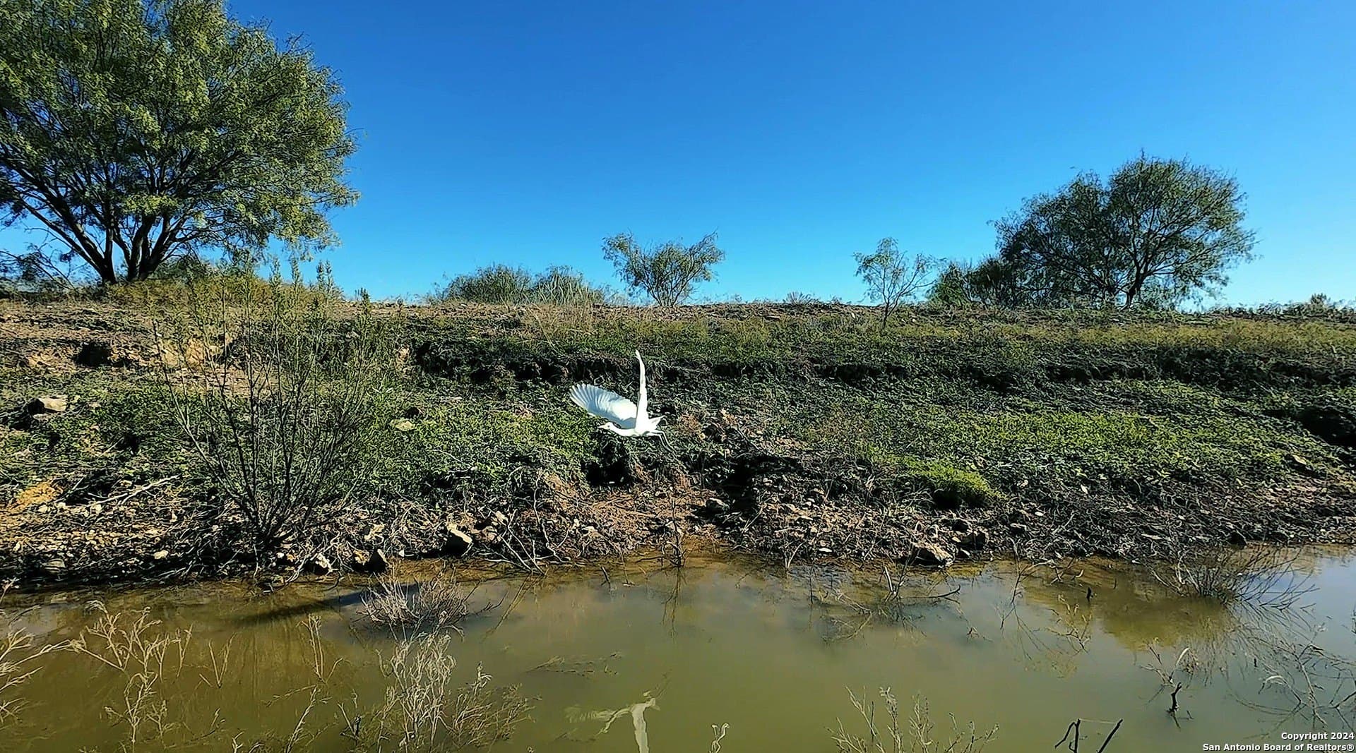 177.36 acres in Comanche County - photo 2