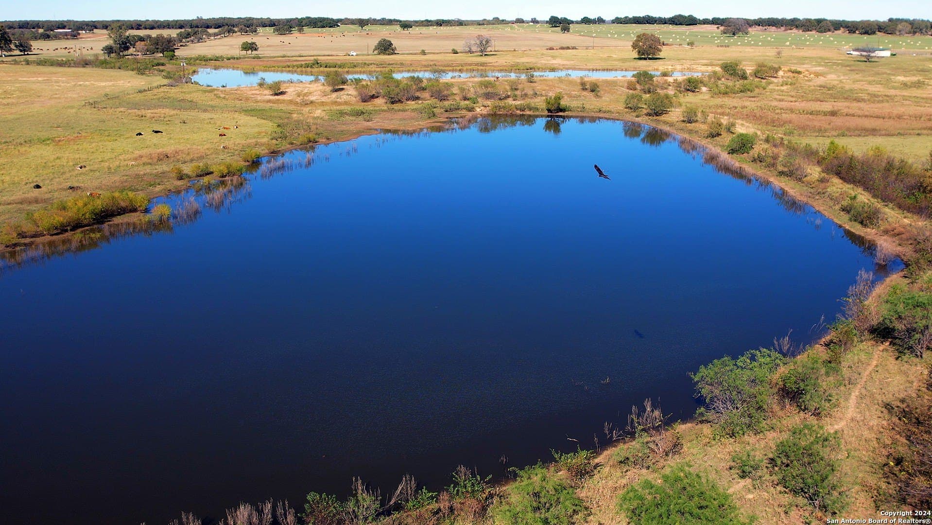 177.36 acres in Comanche County - photo 8