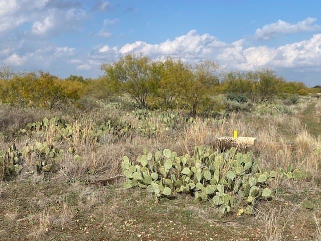 10 acres in Tom Green County - photo 2