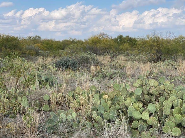 10 acres in Tom Green County - photo 4