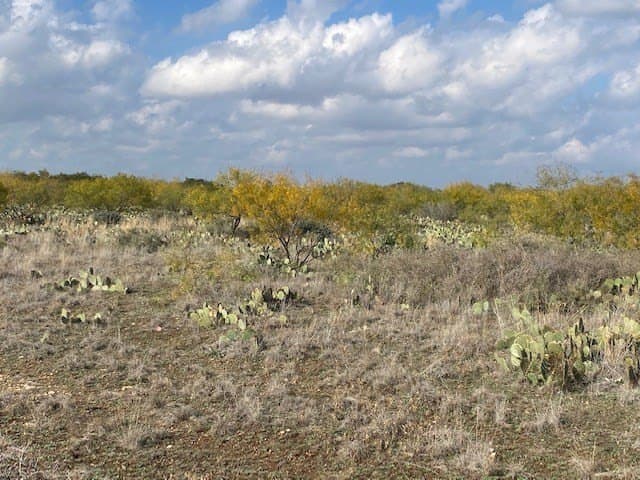 10 acres in Tom Green County - photo 3