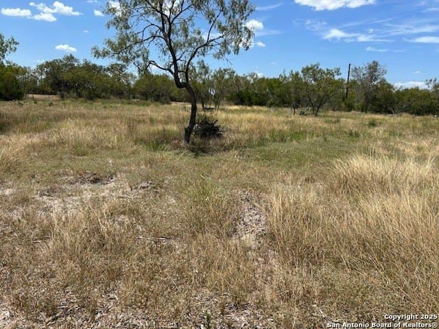 3 acres in Guadalupe County - photo 2