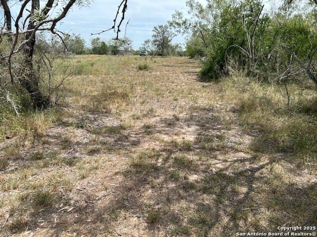 3 acres in Guadalupe County - photo 4