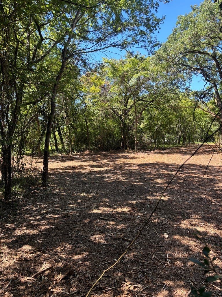 0.96 acres in Henderson County - photo 9