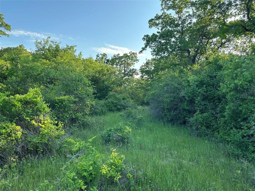 47.97 acres in Wise County - photo 17