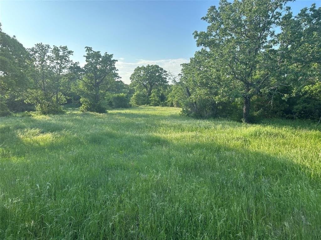 47.97 acres in Wise County - photo 19