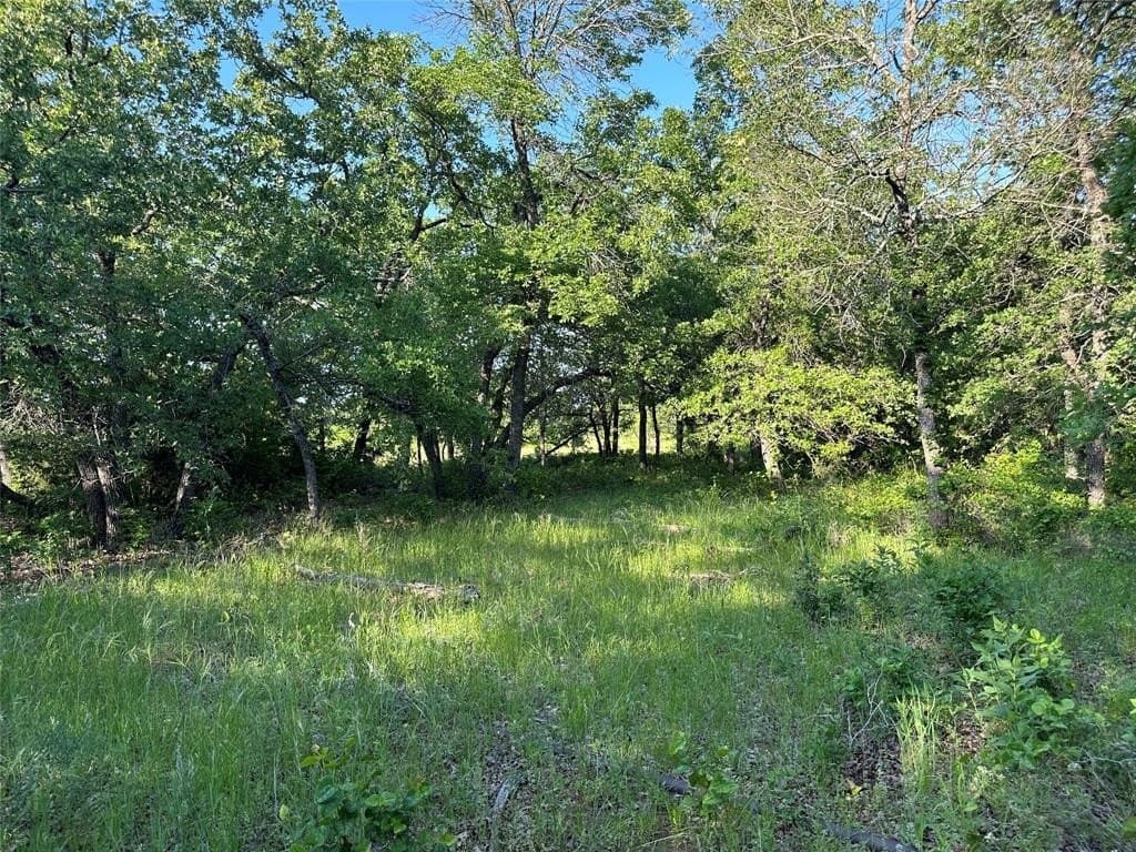 47.97 acres in Wise County - photo 2