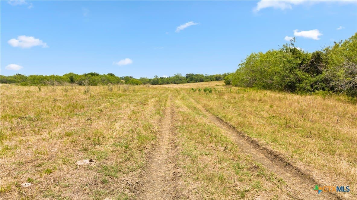 109.53 acres in Caldwell County - photo 20