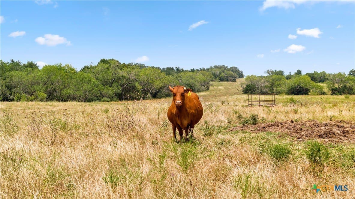 109.53 acres in Caldwell County - photo 15