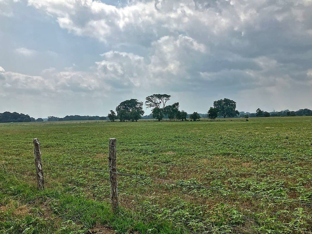18.59 acres in Colorado County - photo 2