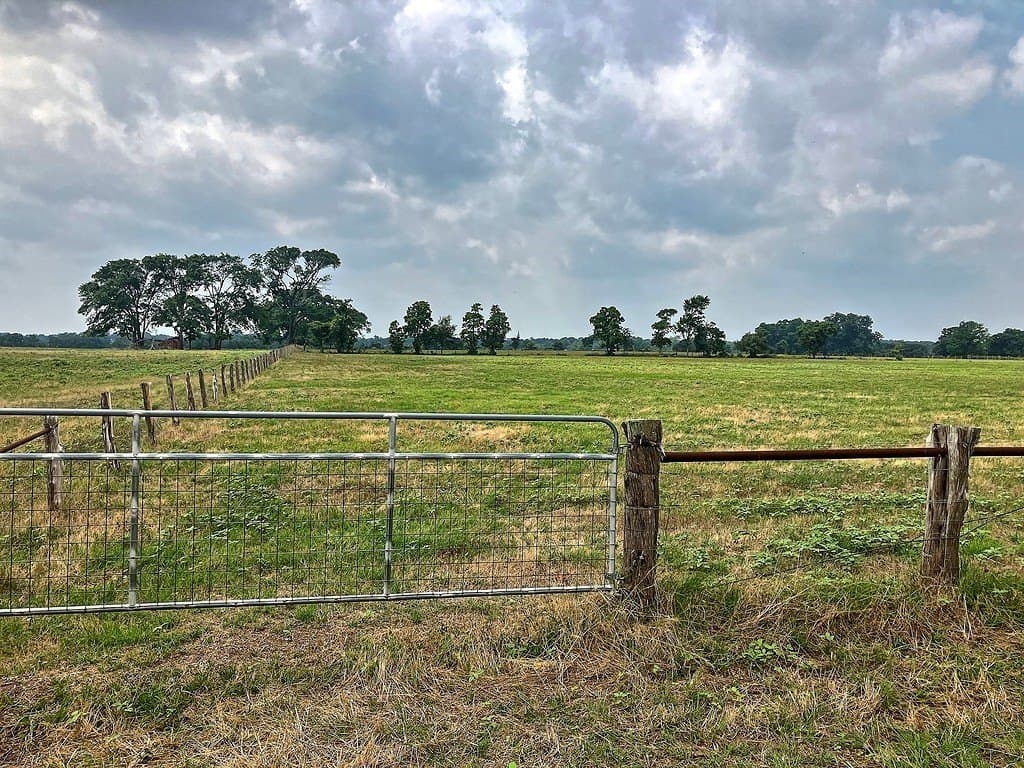 18.59 acres in Colorado County - photo 3