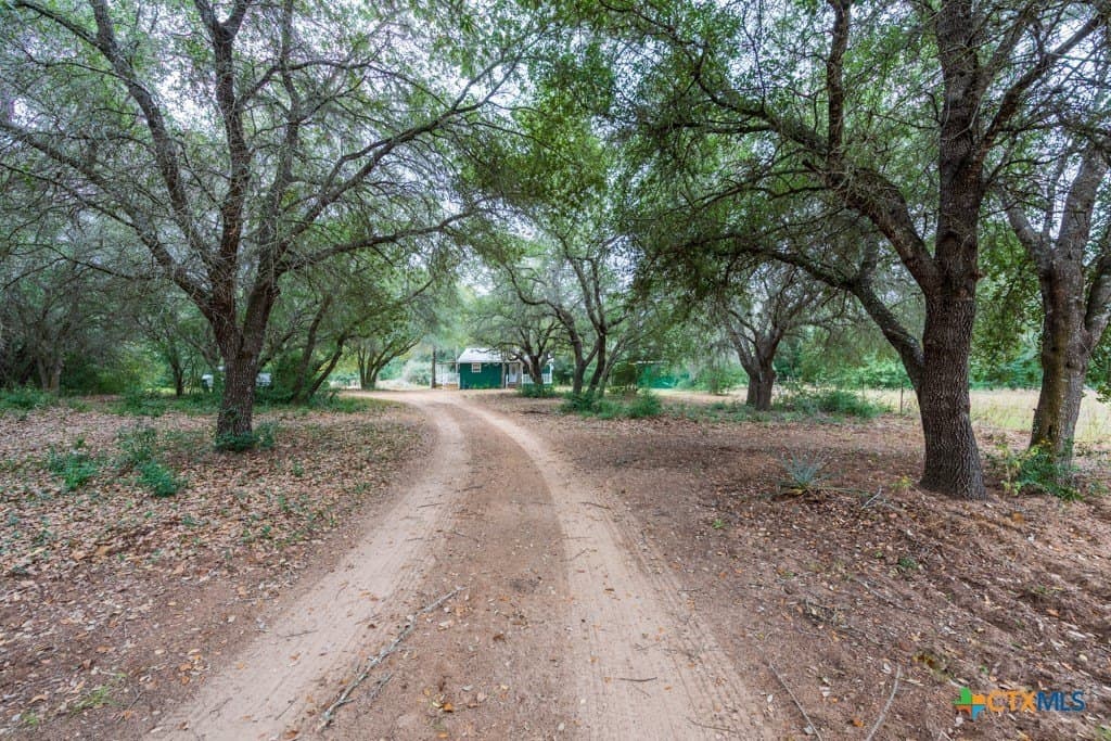 10.93 acres in Gonzales County - photo 2