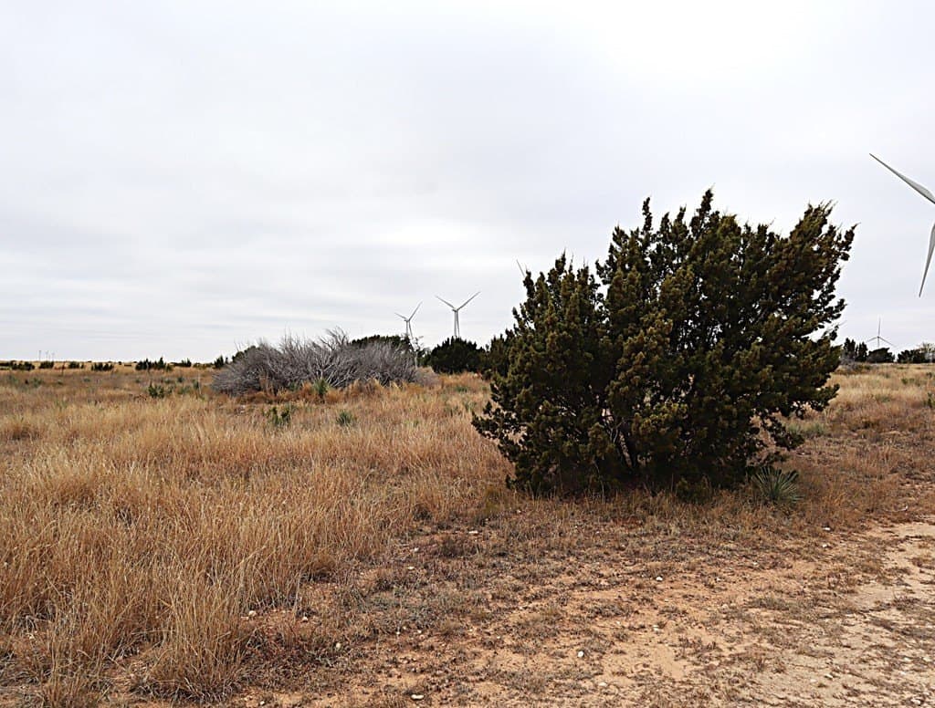 237.35 acres in Nolan County - photo 17