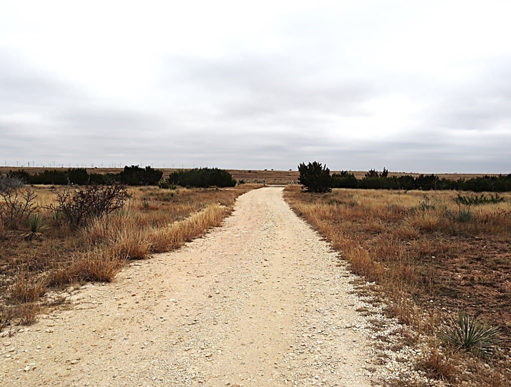 237.35 acres in Nolan County - photo 2