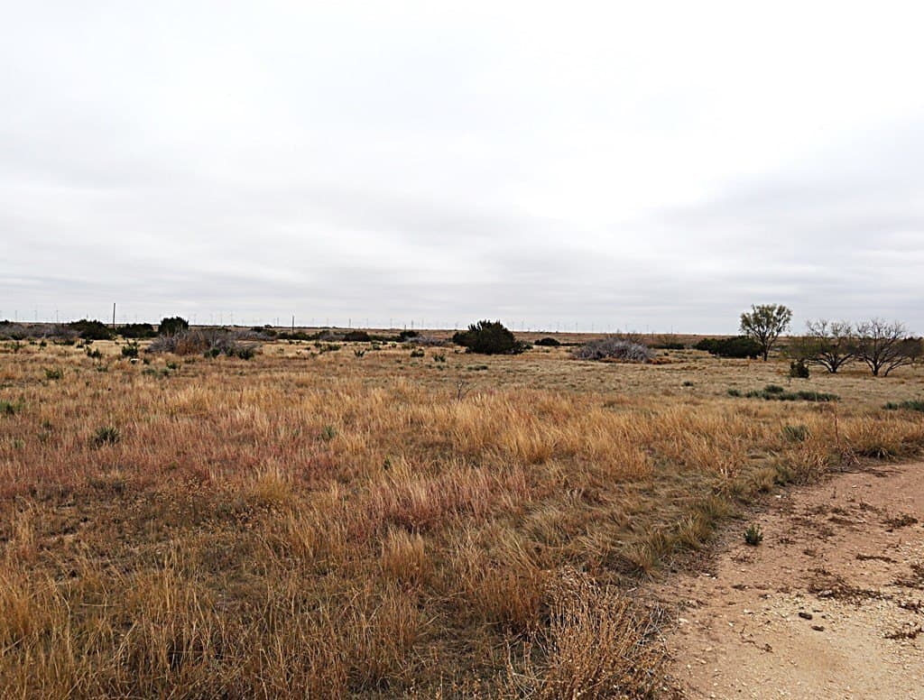 237.35 acres in Nolan County - photo 18