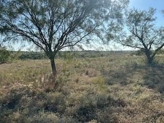 2.3 acres in Parker County - photo 6