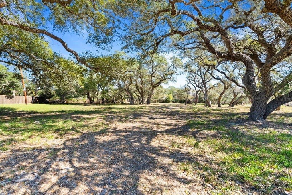 0 acres in Texas County - photo 7