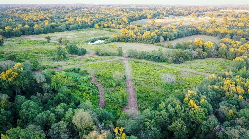 72.34 acres in Wood County - photo 3