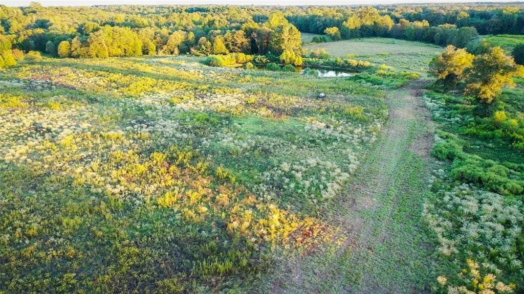 72.34 acres in Wood County - photo 6