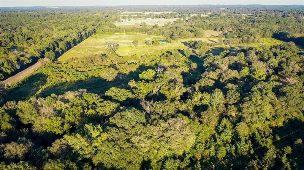 72.34 acres in Wood County - photo 11