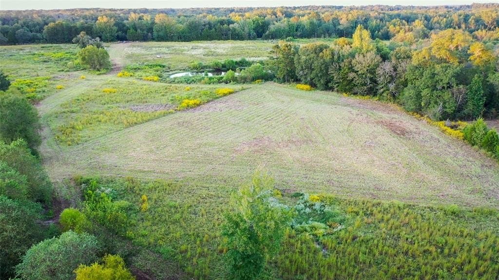 72.34 acres in Wood County - photo 4