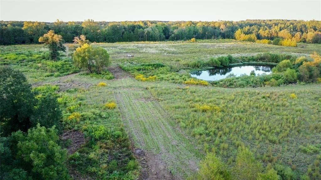 72.34 acres in Wood County - photo 5