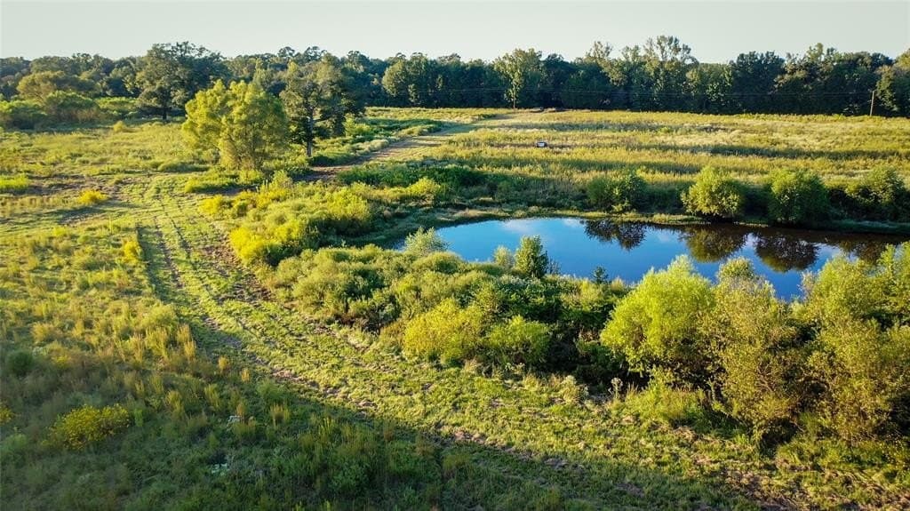 72.34 acres in Wood County - photo 8