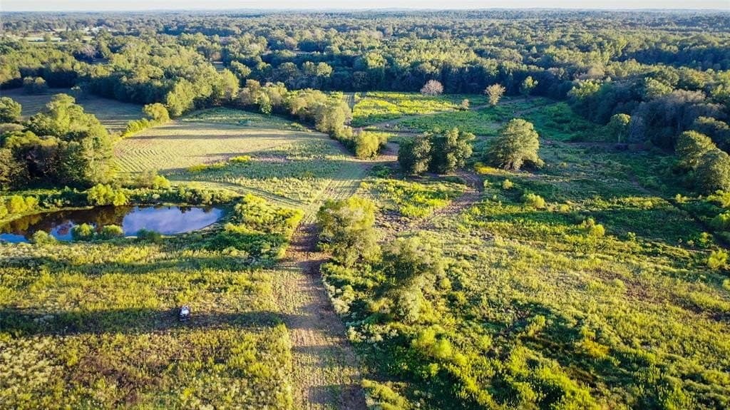 72.34 acres in Wood County - photo 10
