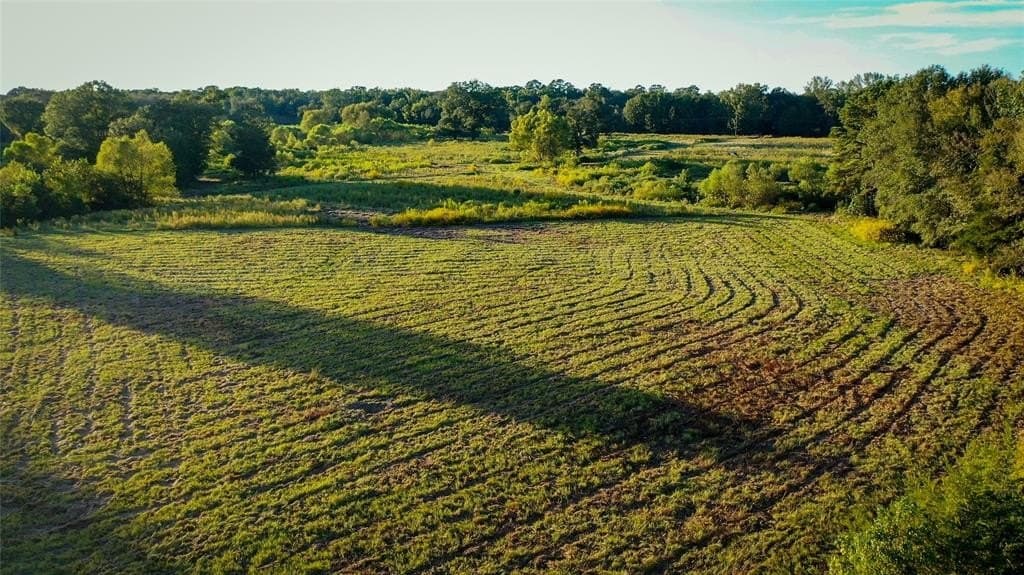 72.34 acres in Wood County - photo 7