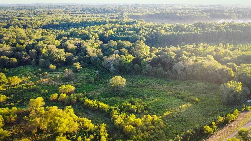 72.34 acres in Wood County - photo 9