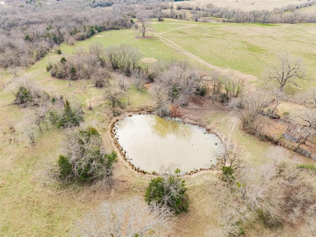 161.65 acres in Rains County - photo 13