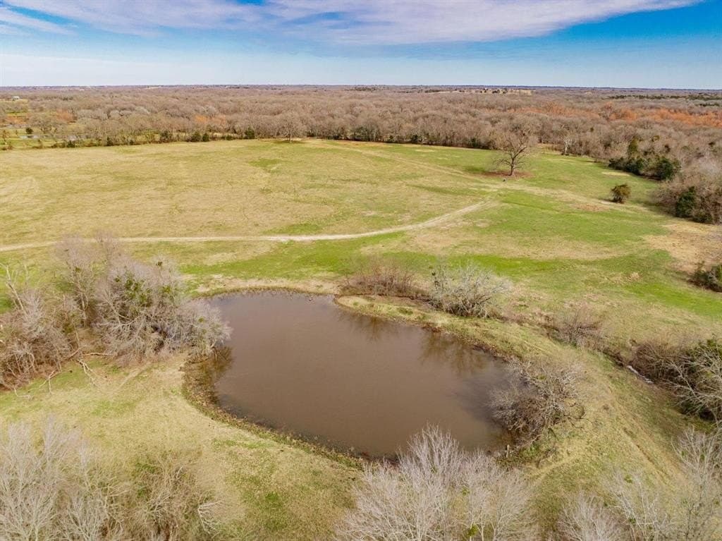 161.65 acres in Rains County - photo 16