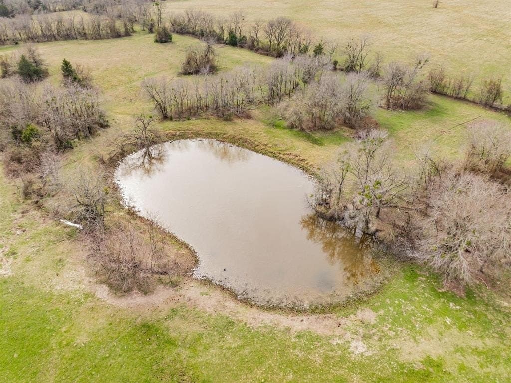 161.65 acres in Rains County - photo 15